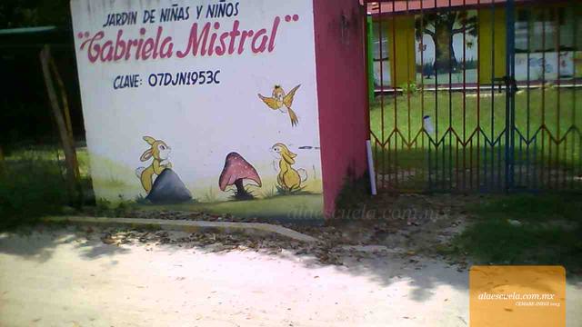 Entrada (vista previa)