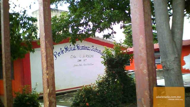 Entrada (vista previa)