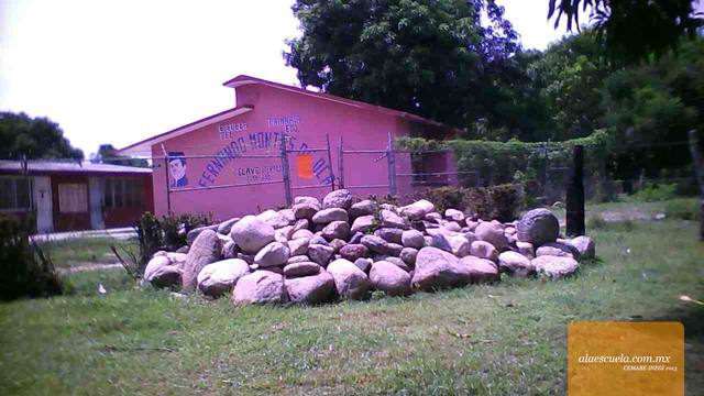 Entrada (vista previa)