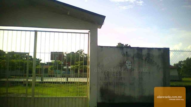 Entrada (vista previa)