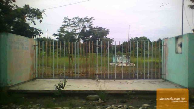 Entrada (vista previa)