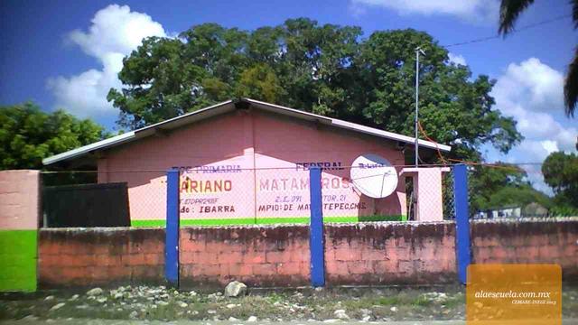 Entrada (vista previa)