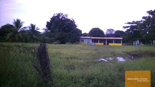 Entrada (vista previa)