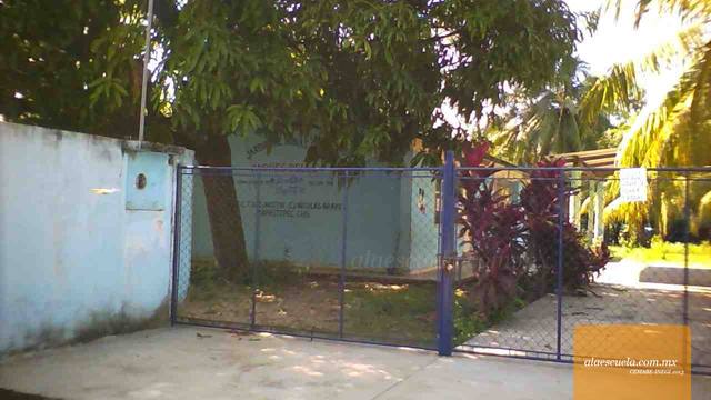 Entrada (vista previa)