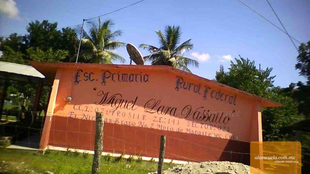 Entrada (vista previa)