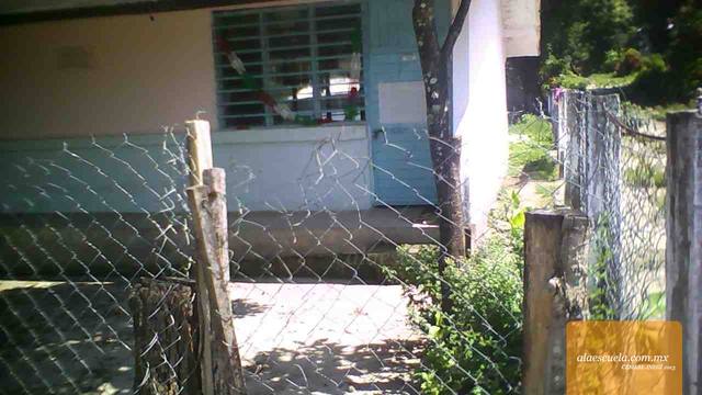 Entrada (vista previa)