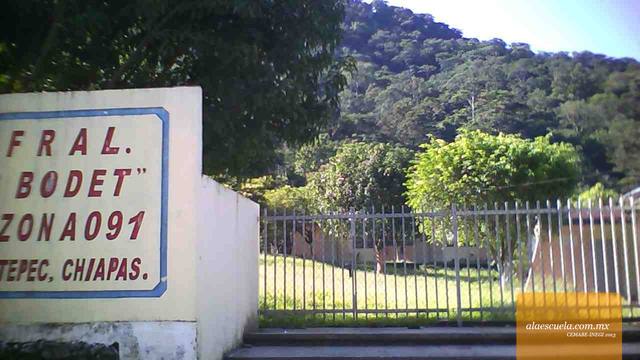 Entrada (vista previa)