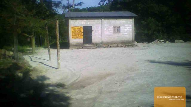 Entrada (vista previa)