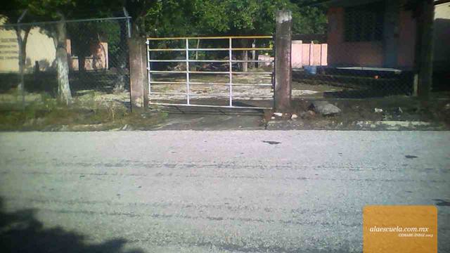 Entrada (vista previa)