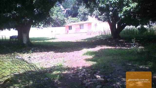 Áreas (vista previa)