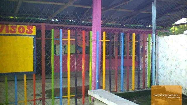 Entrada (vista previa)