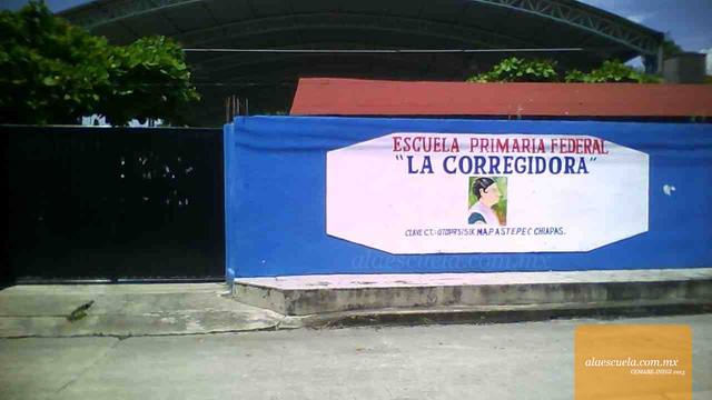 Entrada (vista previa)