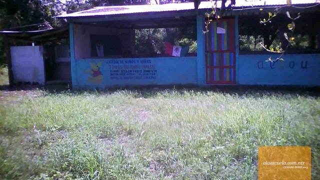 Entrada (vista previa)