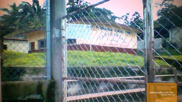 Entrada (vista previa)