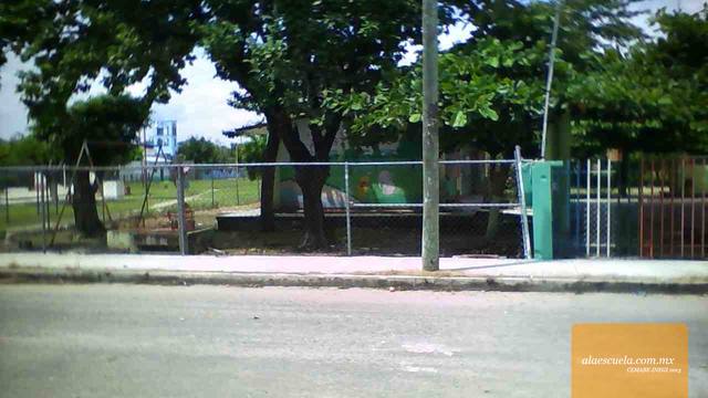 Entrada (vista previa)