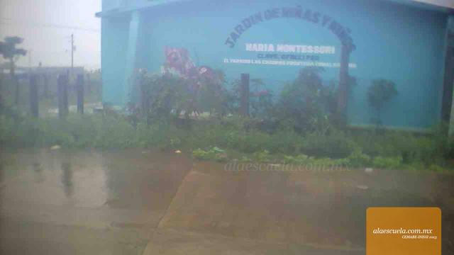 Entrada (vista previa)