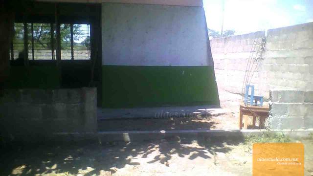 Entrada (vista previa)