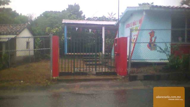 Entrada (vista previa)