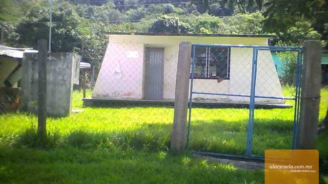 Entrada (vista previa)