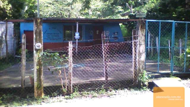 Entrada (vista previa)