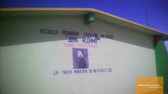 Entrada (vista previa)