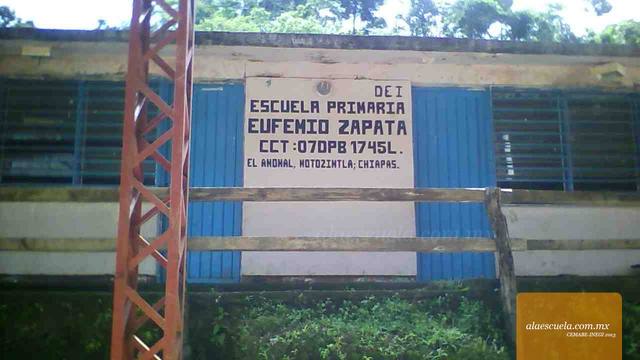 Entrada (vista previa)