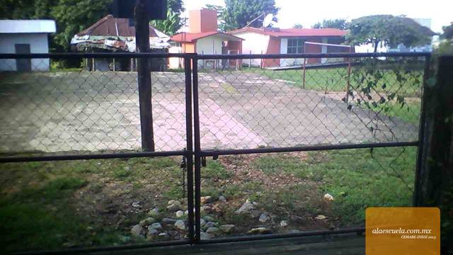 Entrada (vista previa)