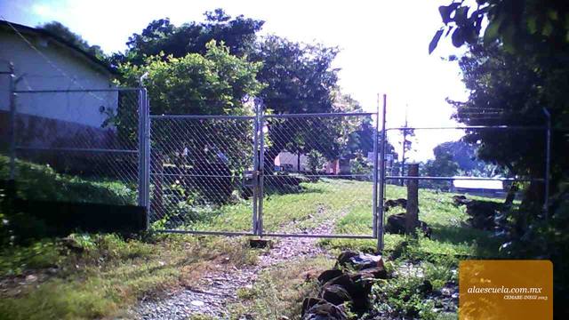 Entrada (vista previa)