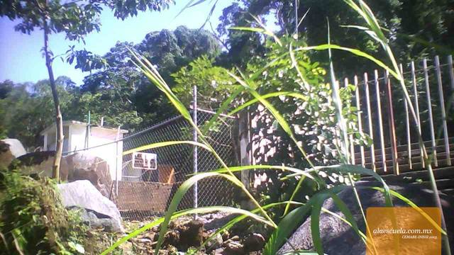 Entrada (vista previa)