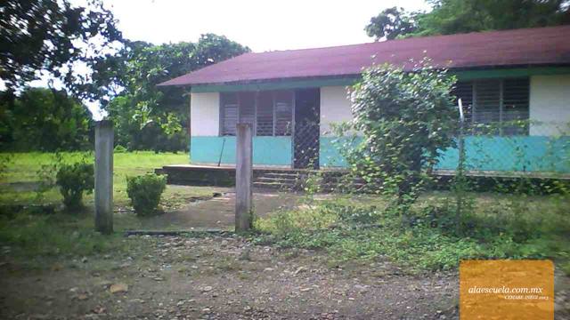 Entrada (vista previa)