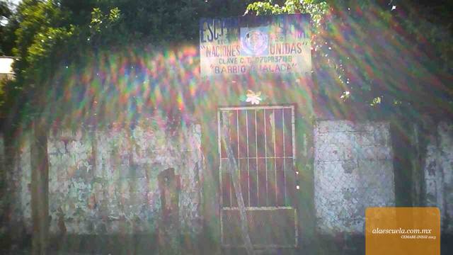 Entrada (vista previa)