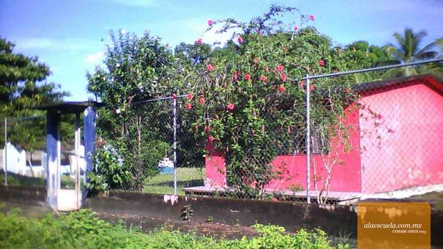 Entrada (vista previa)