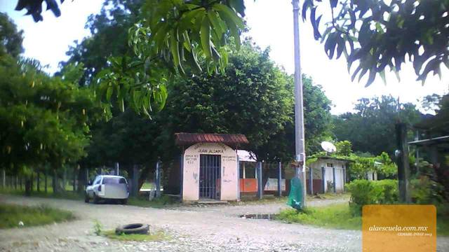 Entrada (vista previa)