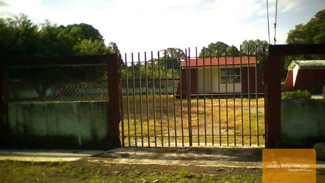 Entrada (vista previa)