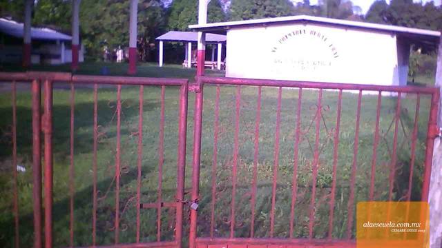 Entrada (vista previa)