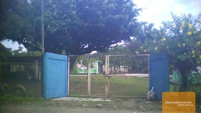 Entrada (vista previa)