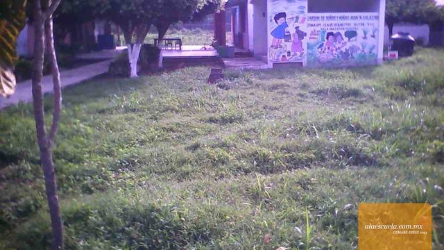 Entrada (vista previa)