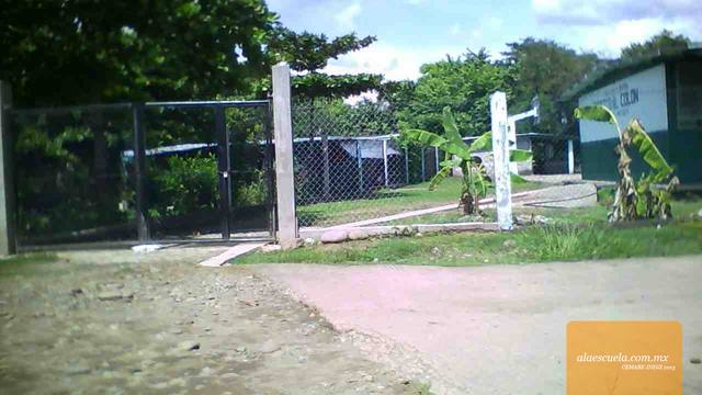 Entrada (vista previa)