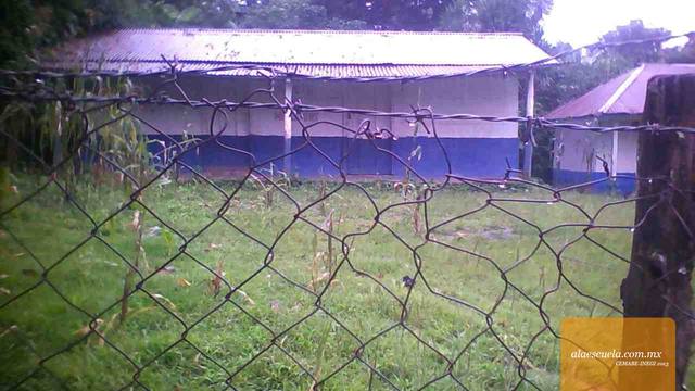 Entrada (vista previa)