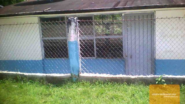 Entrada (vista previa)