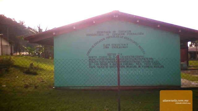 Entrada (vista previa)