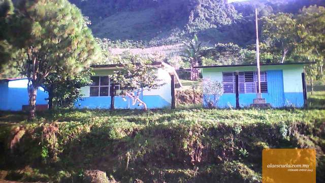 Entrada (vista previa)