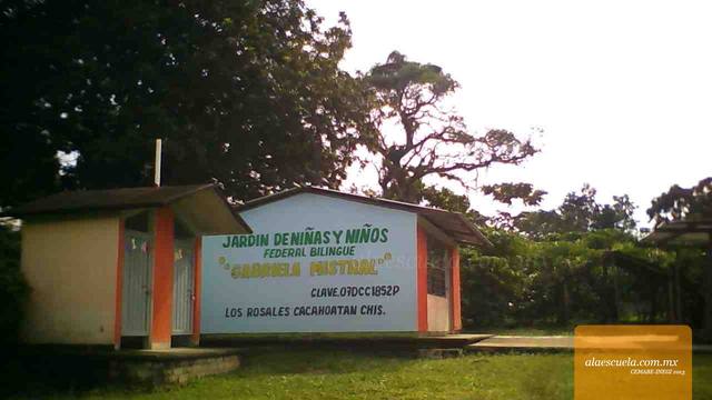 Entrada (vista previa)