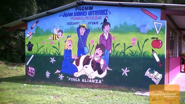 Entrada (vista previa)