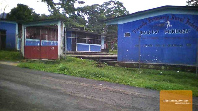 Entrada (vista previa)