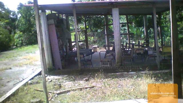 Entrada (vista previa)