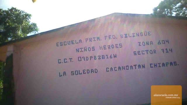 Entrada (vista previa)