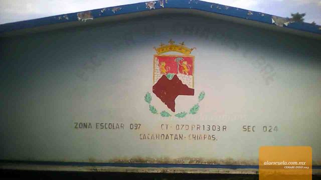 Entrada (vista previa)