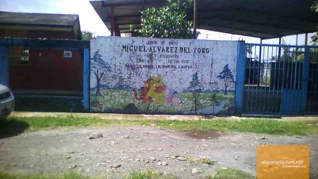 Entrada (vista previa)