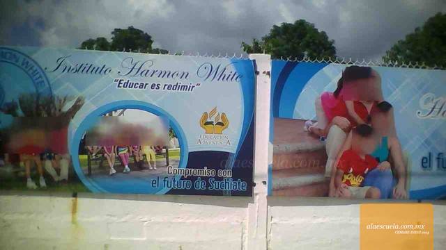 Entrada (vista previa)